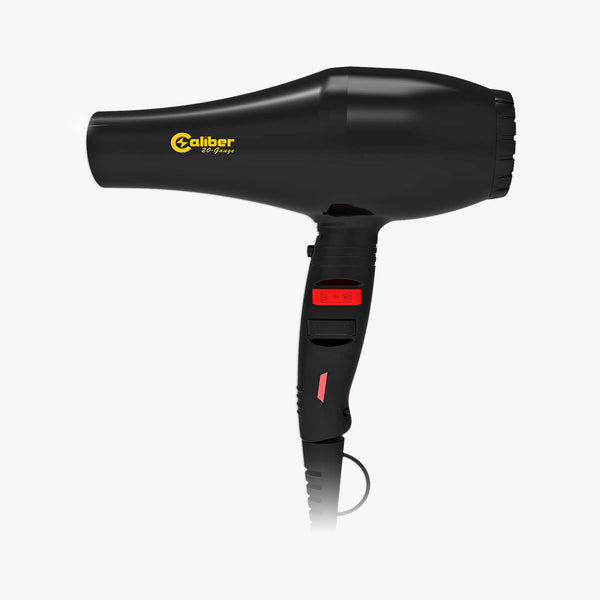 Caliber 20-gauge DC motor professional blow dryer