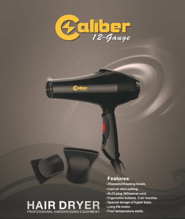 Caliber 12-gauge AC motor professional blow dryer